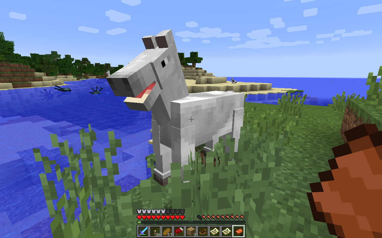 Minecraft 旅先で見つけた馬がすごい 3枚目の地図を埋める Hiro流ゲームライフ